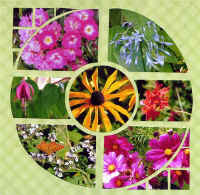 parcfloral1.jpg (67039 octets)