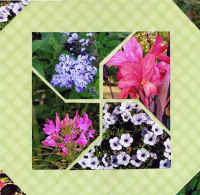parcfloral2.jpg (55731 octets)